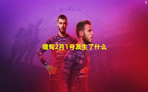 缅甸2月1号发生了什么