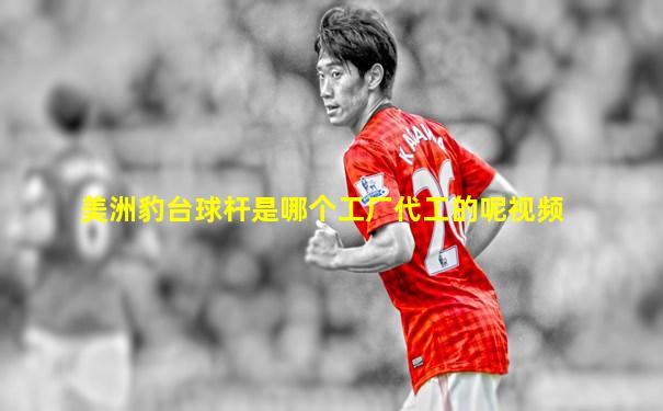 美洲豹台球杆是哪个工厂代工的呢视频