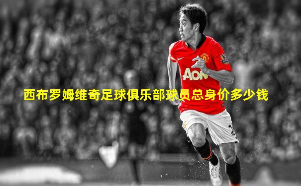 西布罗姆维奇足球俱乐部球员总身价多少钱