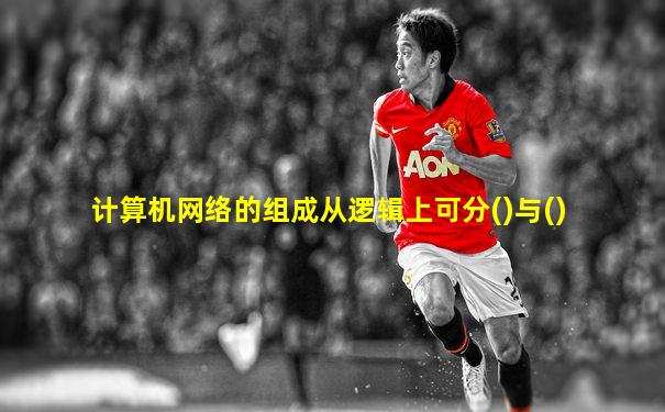 计算机网络的组成从逻辑上可分()与()