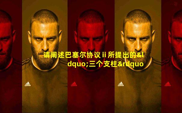 请阐述巴塞尔协议ⅱ所提出的“三个支柱”