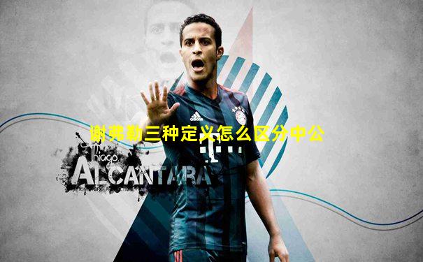 谢弗勒三种定义怎么区分中公