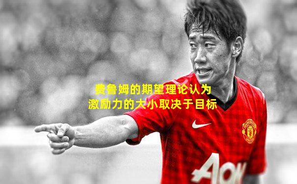 费鲁姆的期望理论认为激励力的大小取决于目标
