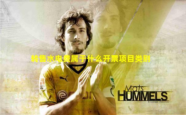 转售水电费属于什么开票项目类别