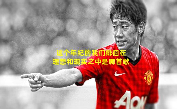 这个年纪的我们徘徊在理想和现实之中是哪首歌