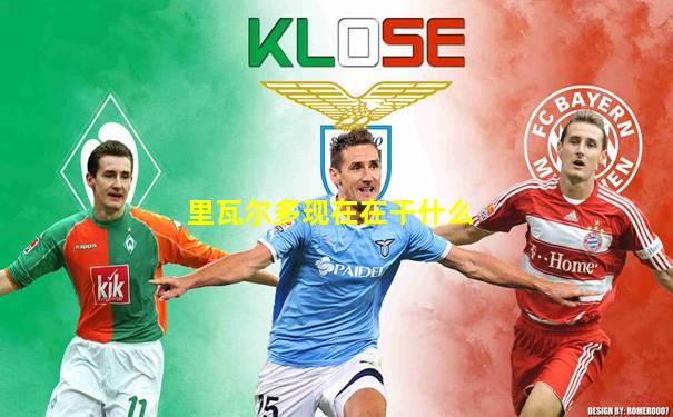 里瓦尔多现在在干什么