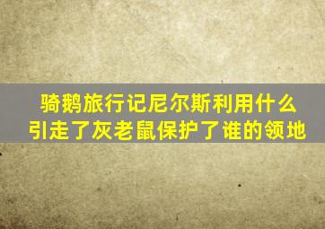 骑鹅旅行记尼尔斯利用什么引走了灰老鼠保护了谁的领地