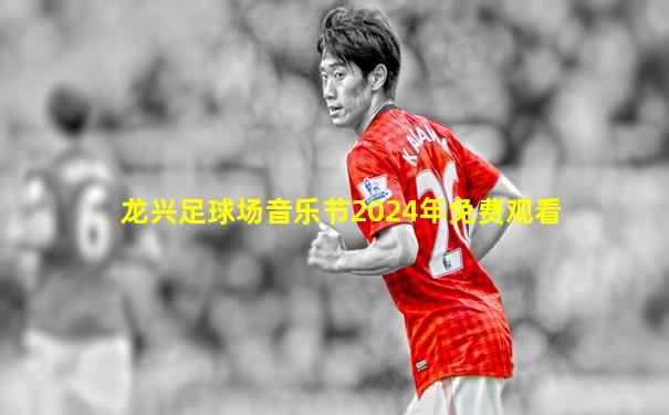 龙兴足球场音乐节2024年免费观看